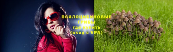 ПСИЛОЦИБИНОВЫЕ ГРИБЫ Зеленодольск