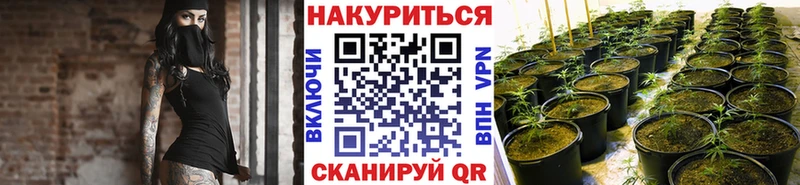 Шишки марихуана сатива  где найти наркотики  Белебей 